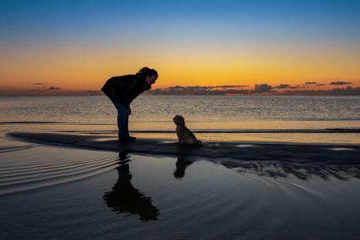 hundefreundliche Niederlande 