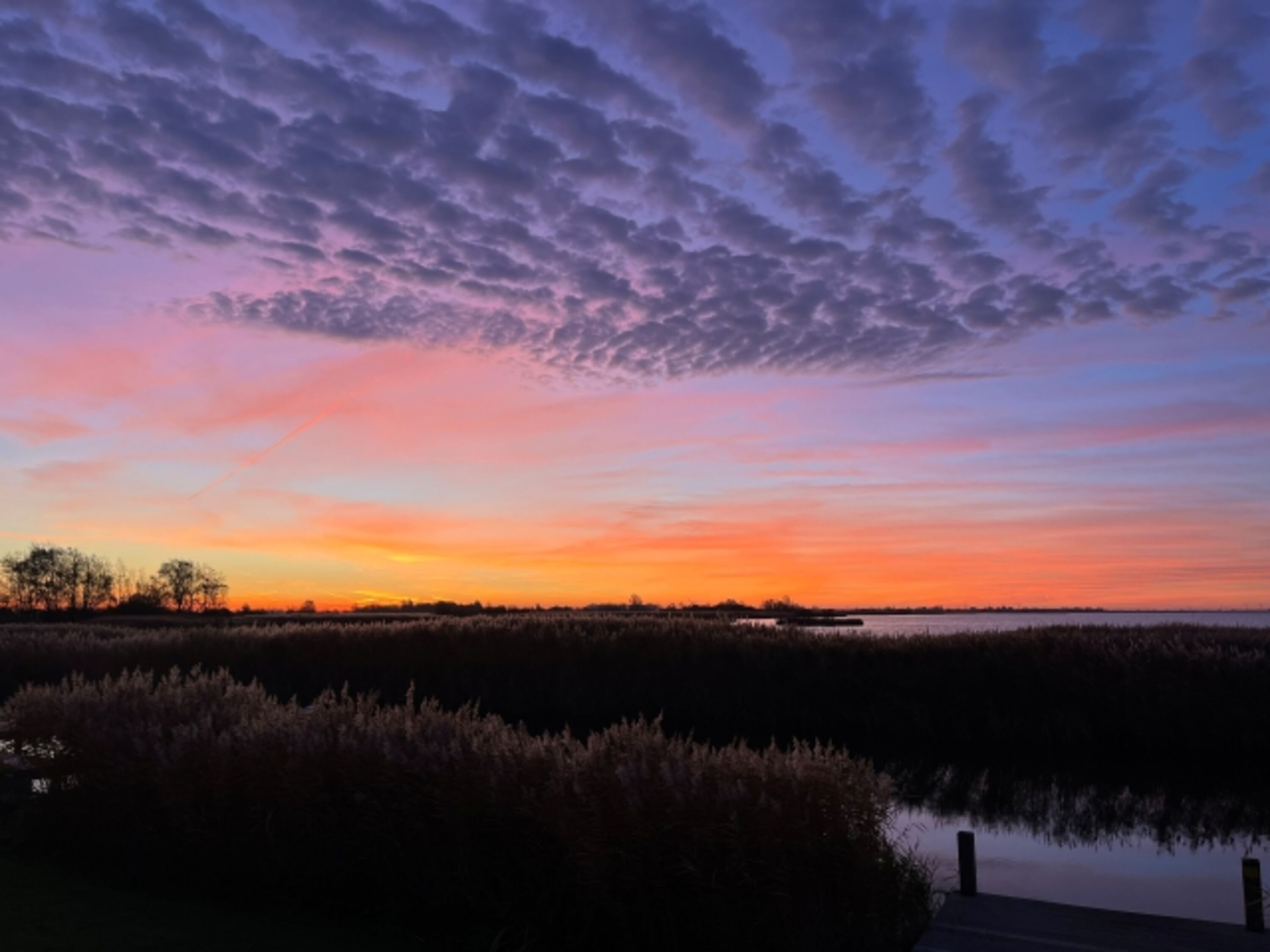 Sonnenaufgang über dem Naturschutzgebiet - vom Wohnzimmer aus zu beobachten