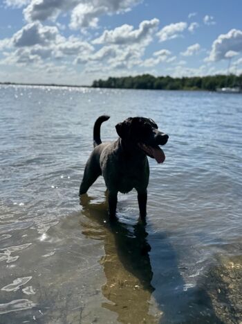 Plauer See am Seegarten Kirchmöser