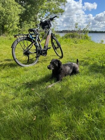 Badestelle am Seegarten Kirchmöser
