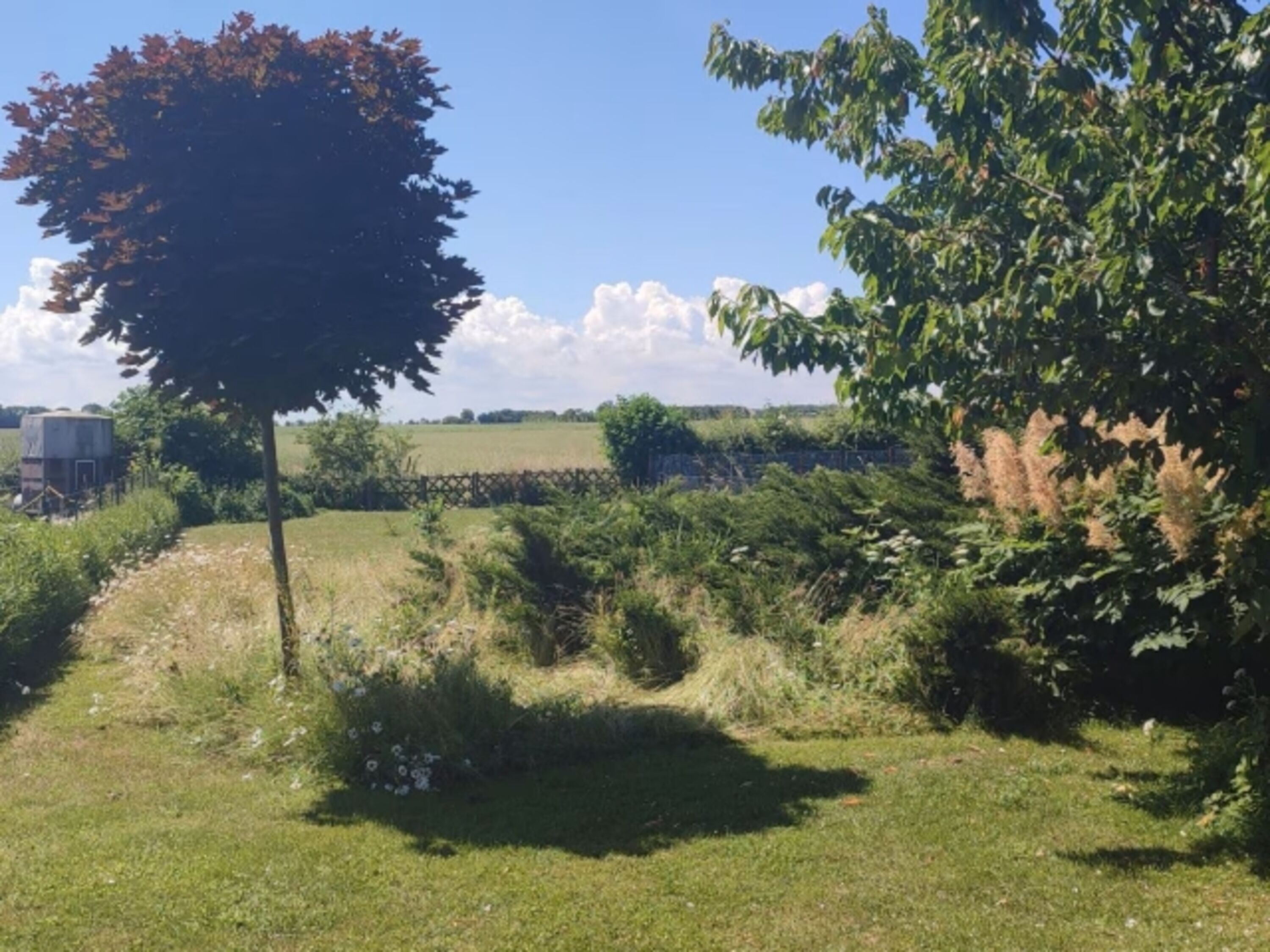 Blick in den Garten