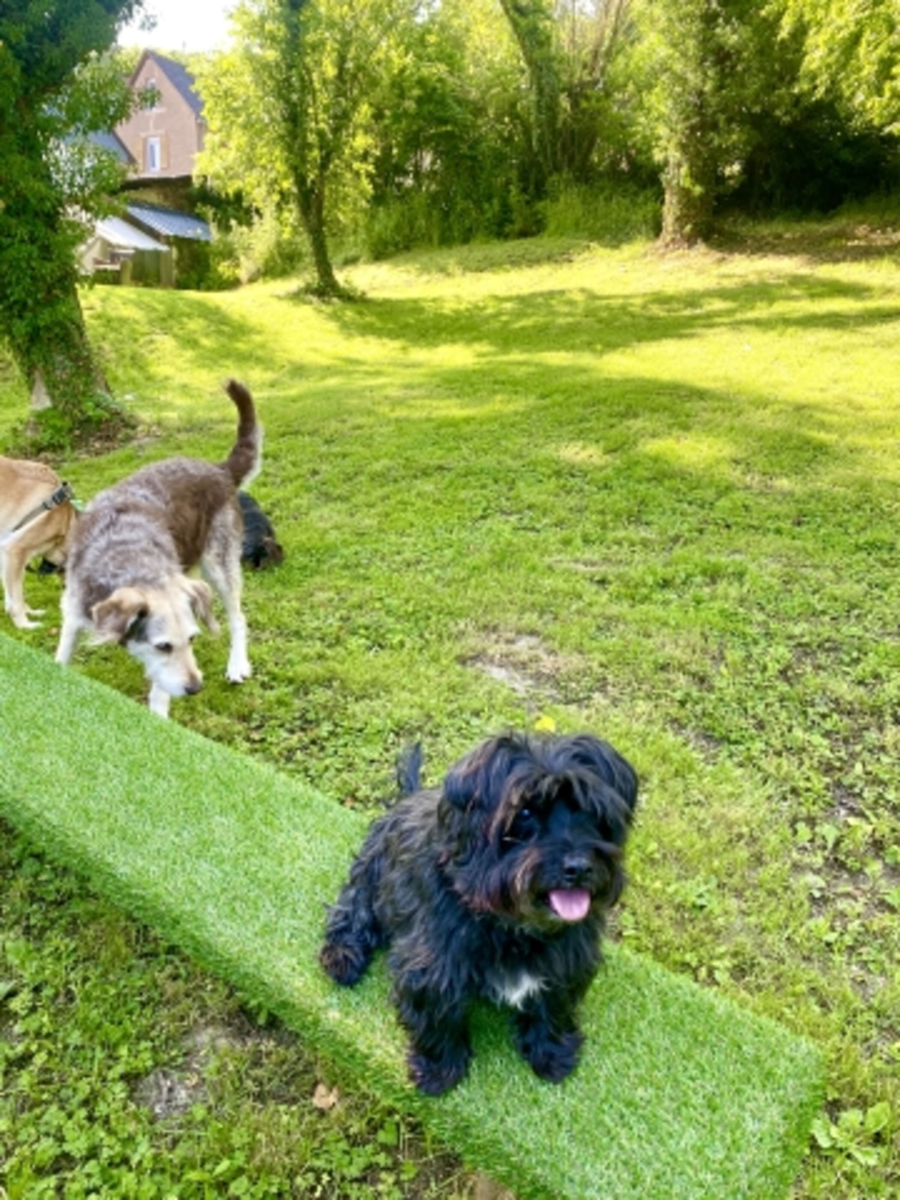 Garten