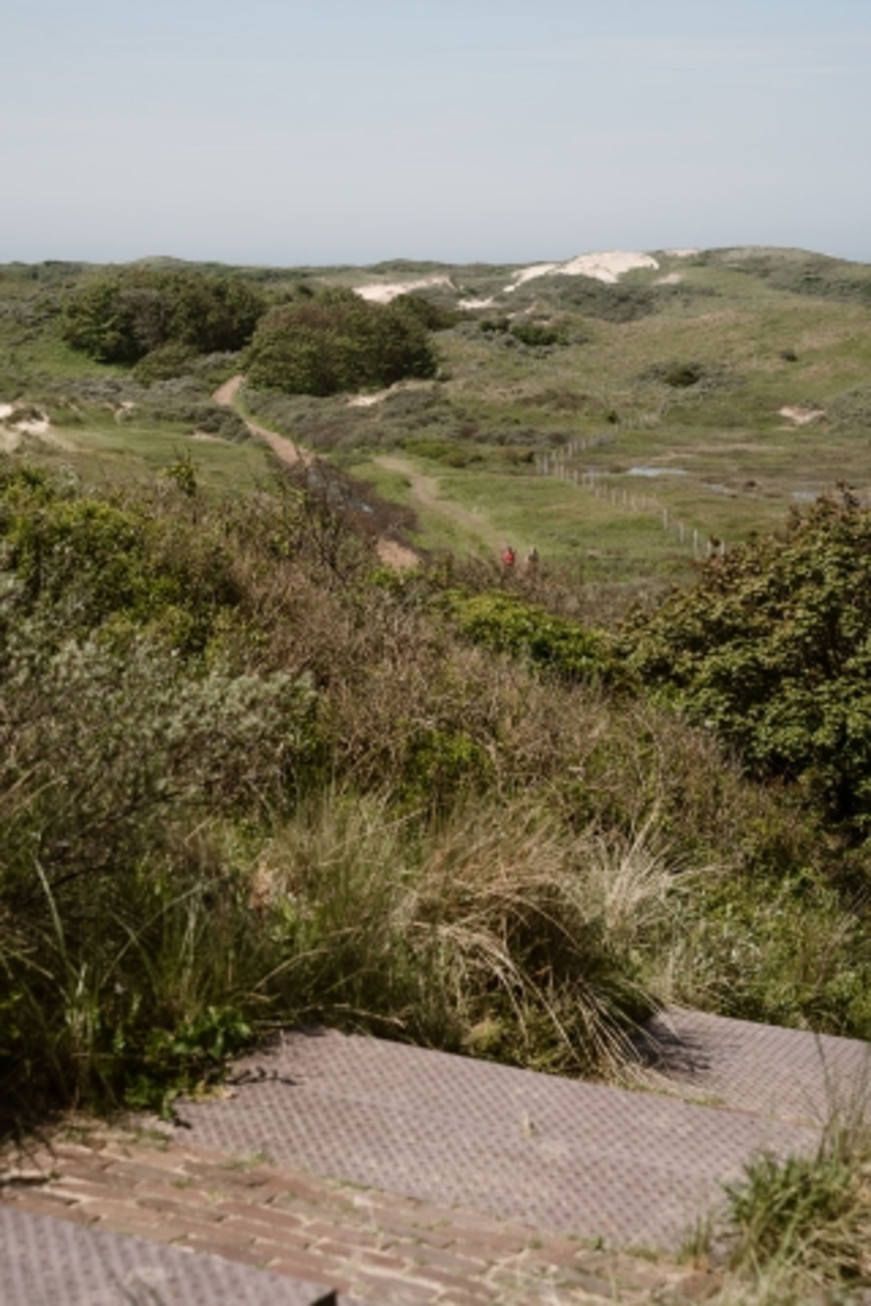 Dune