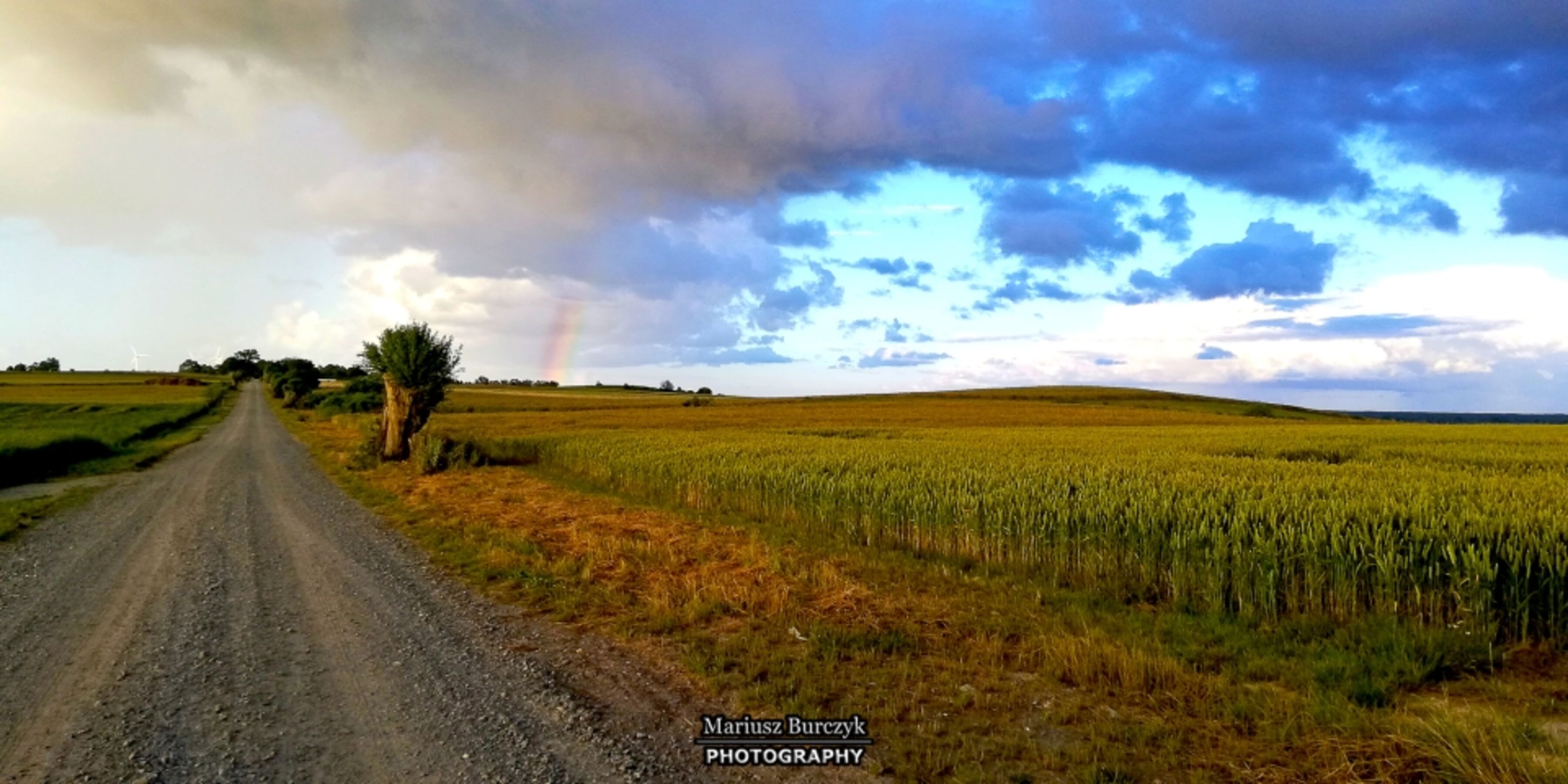 Bild 18