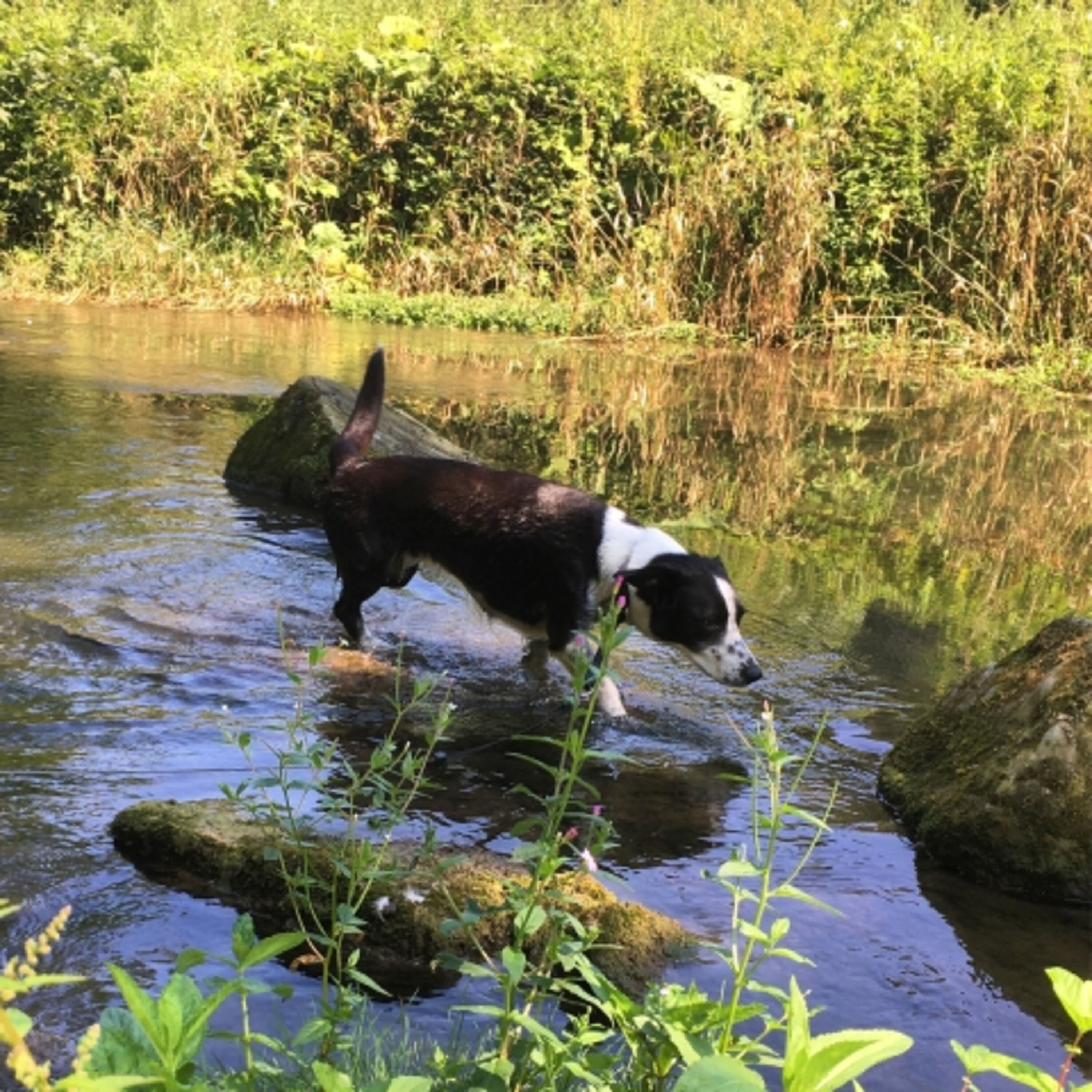 An der Erfa