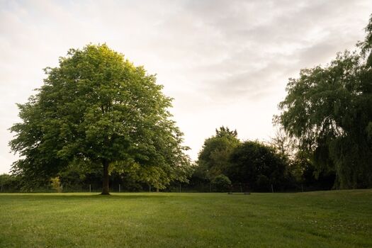 4000 qm umzäunter Garten 