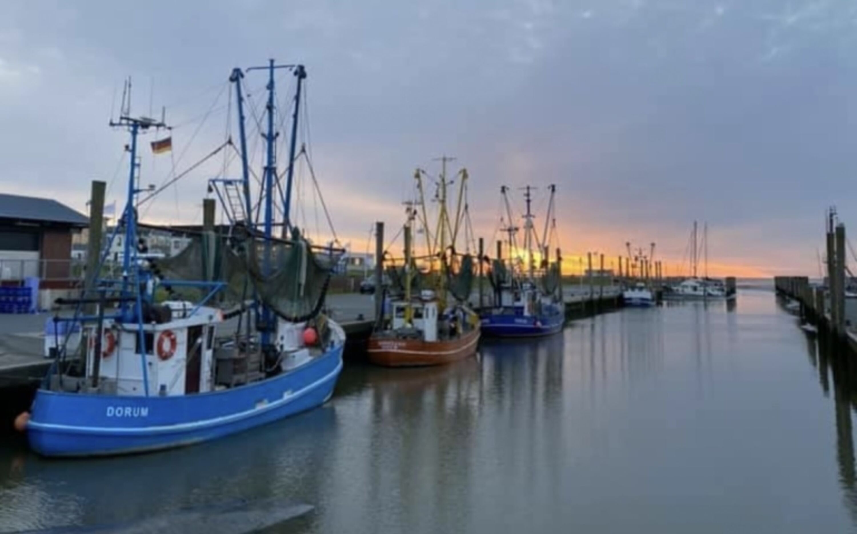 Kutterhafen