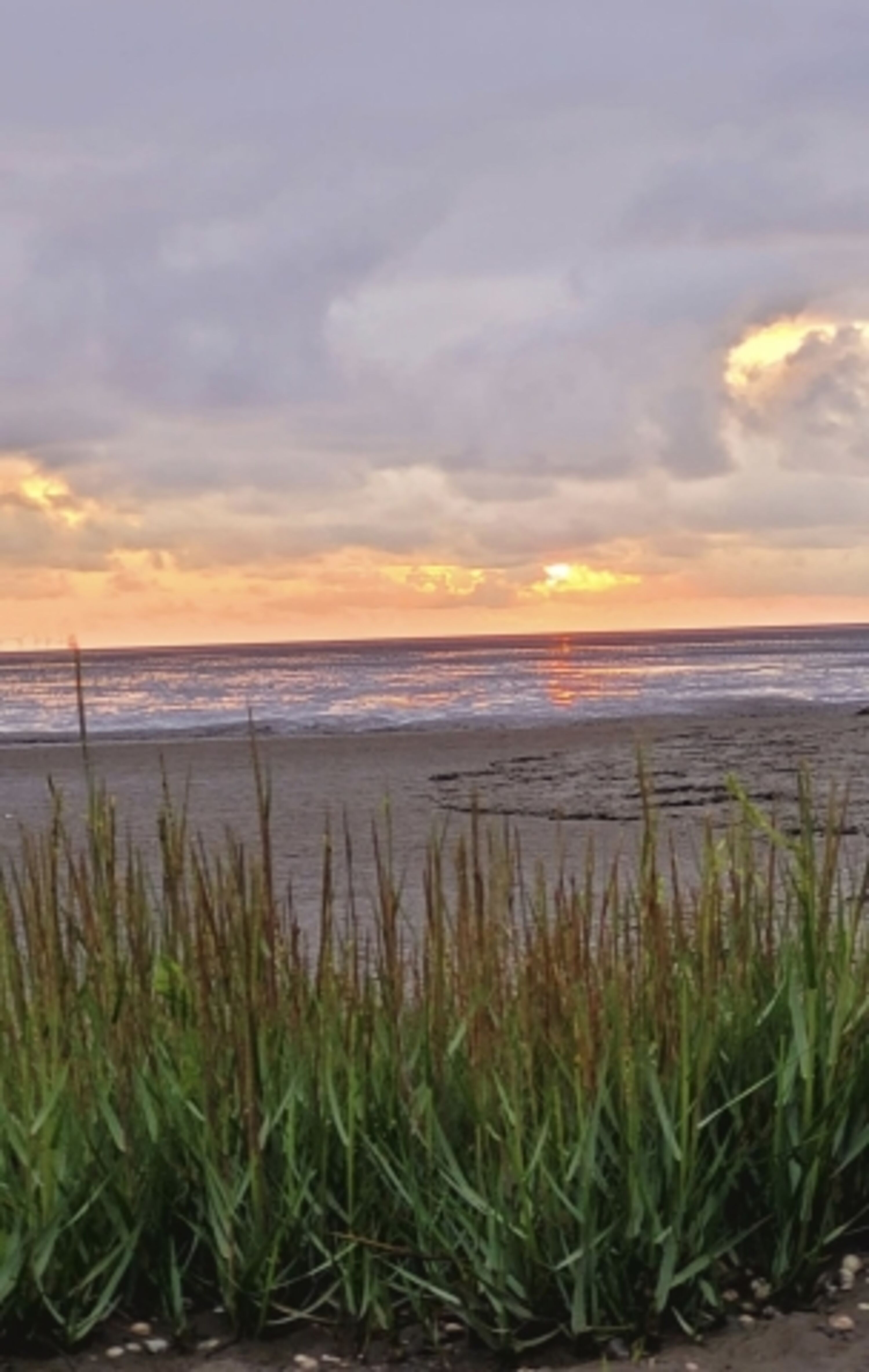 Strand Dorum