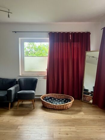 Hundekorb im Wohnbereich