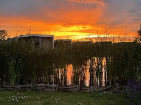 Abendstimmung im Park