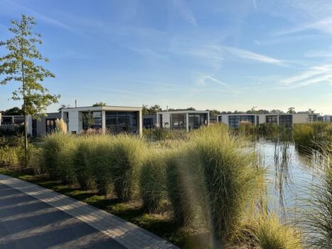 direkt am Gewässer des Parks - ganz vorne 