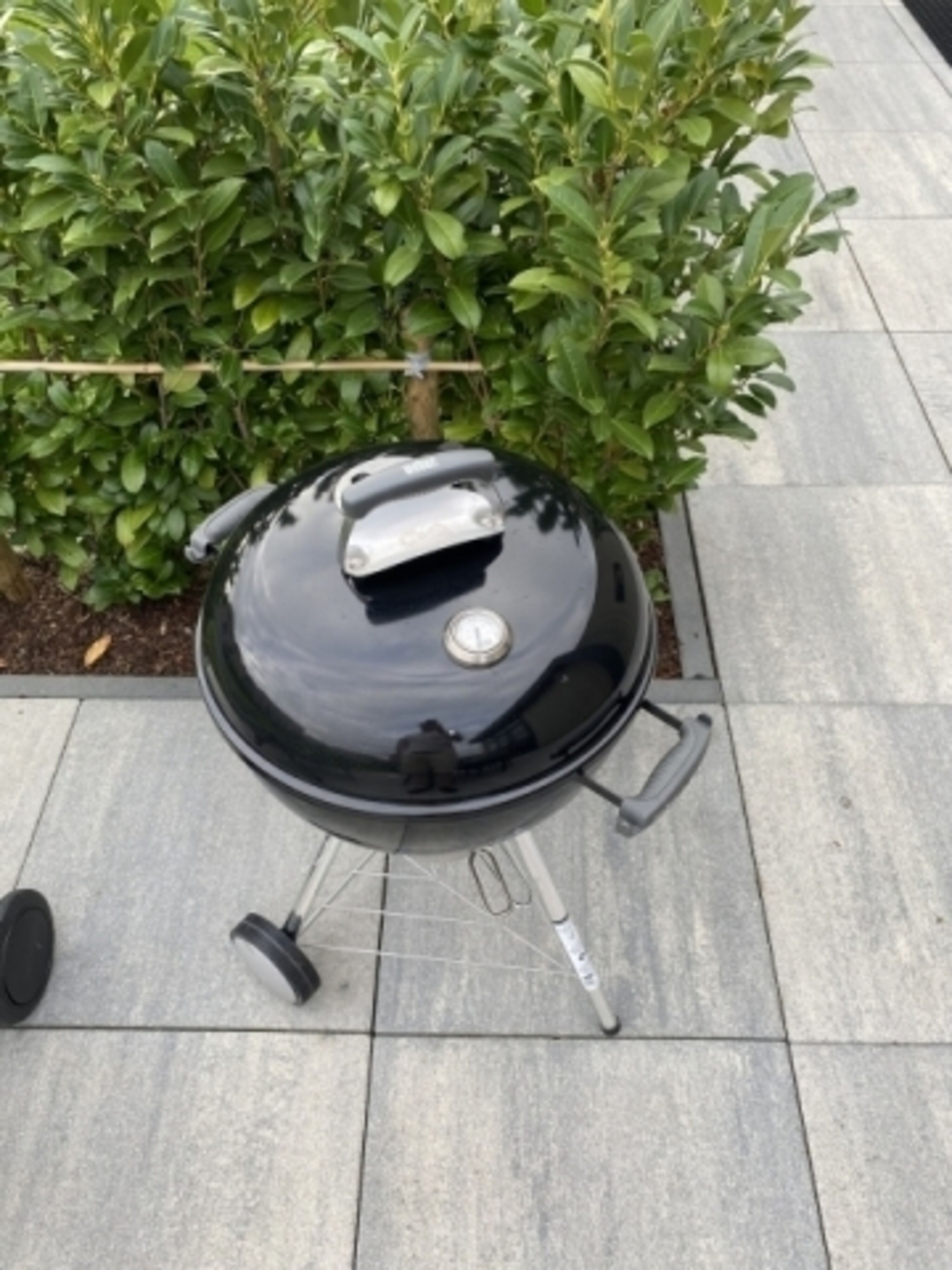 Weber Kugelgrill