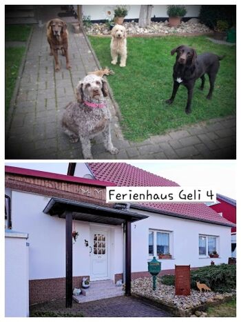 Wohlfühloase für Fellnasen