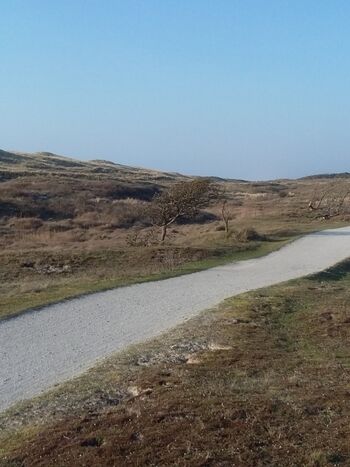 zahlreiche attraktive Fahrrad- und Wanderwege