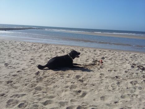 feiner Sandstrand, 700m entfernt