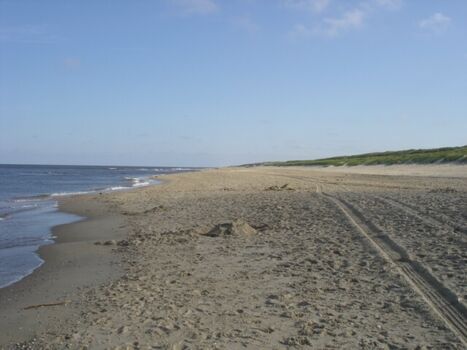 kilometerlanger Sandstrand und Dünenlandschaft