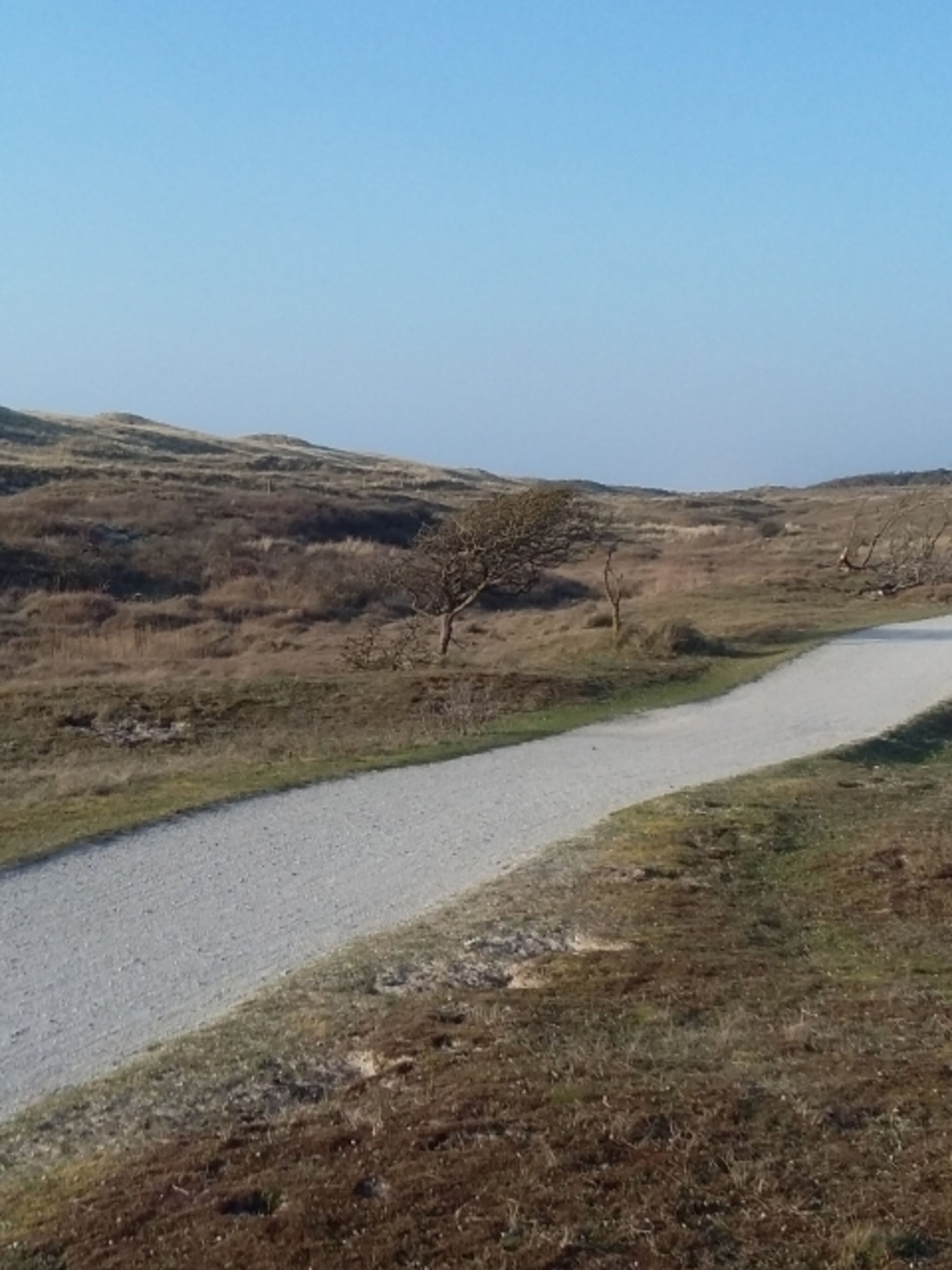 zahlreiche attraktive Fahrrad- und Wanderwege