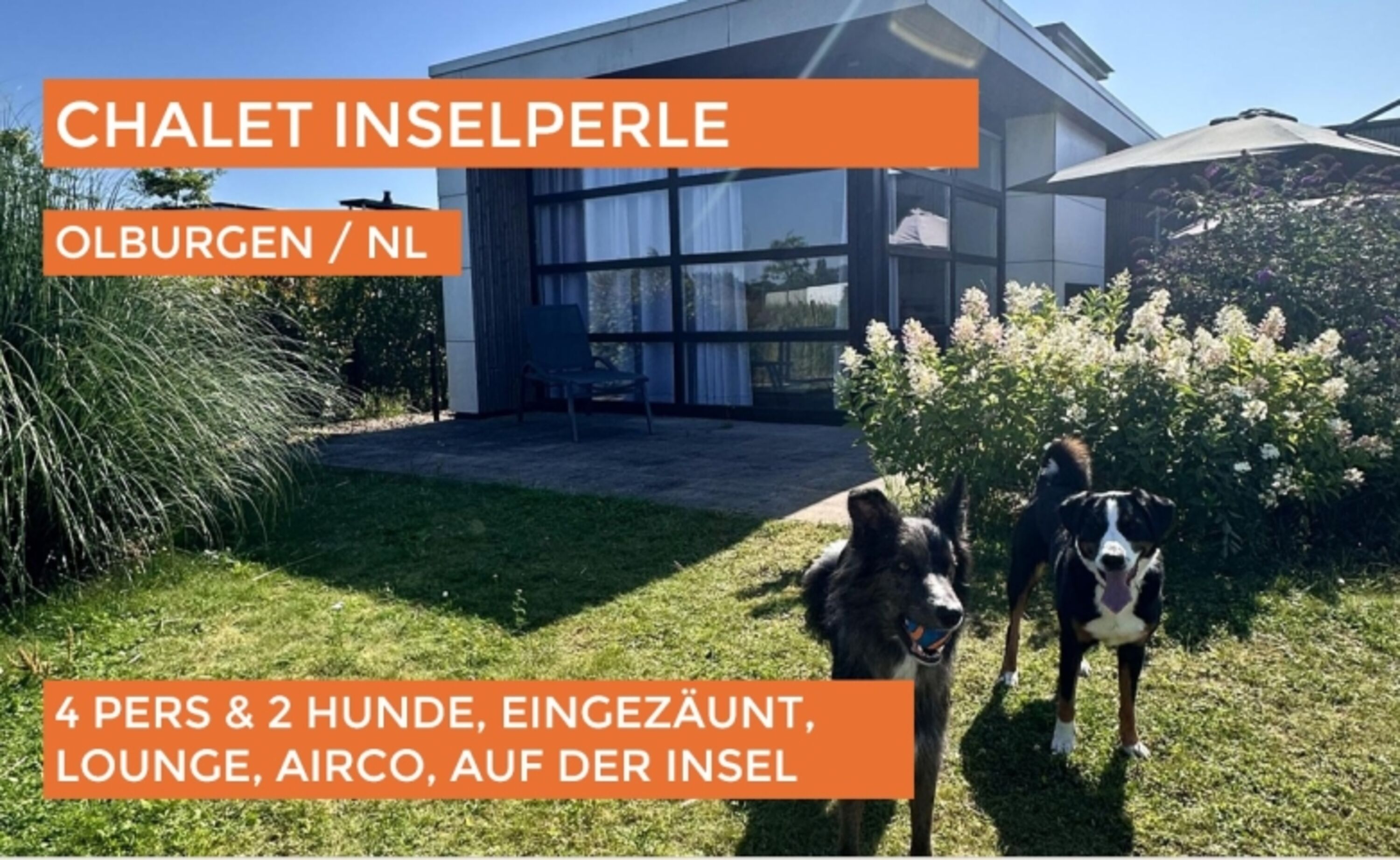 Jetzt mit Video auf unserer Homepage - klicke rechts