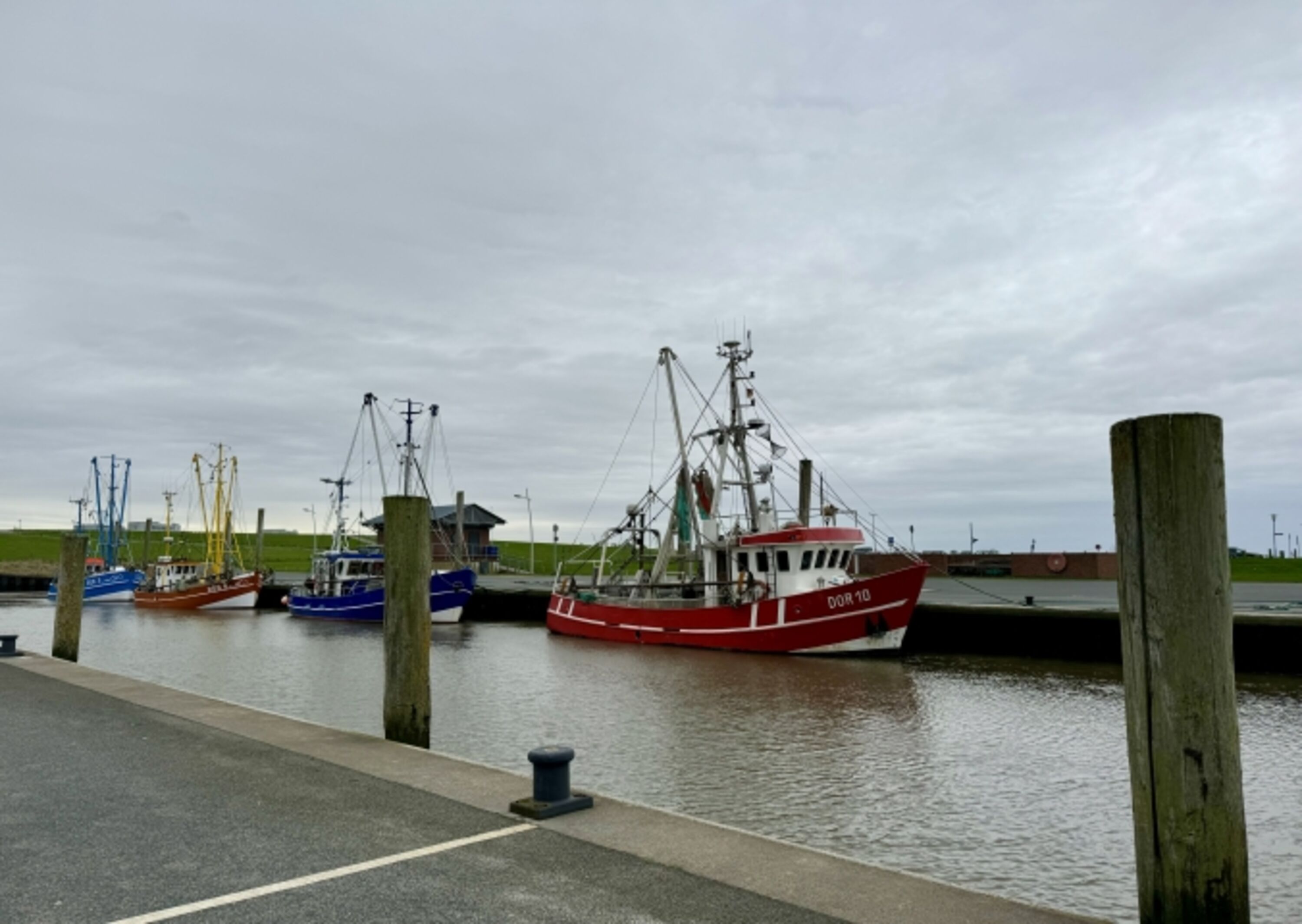 Kutterhafen