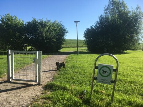 Hundespielwiese