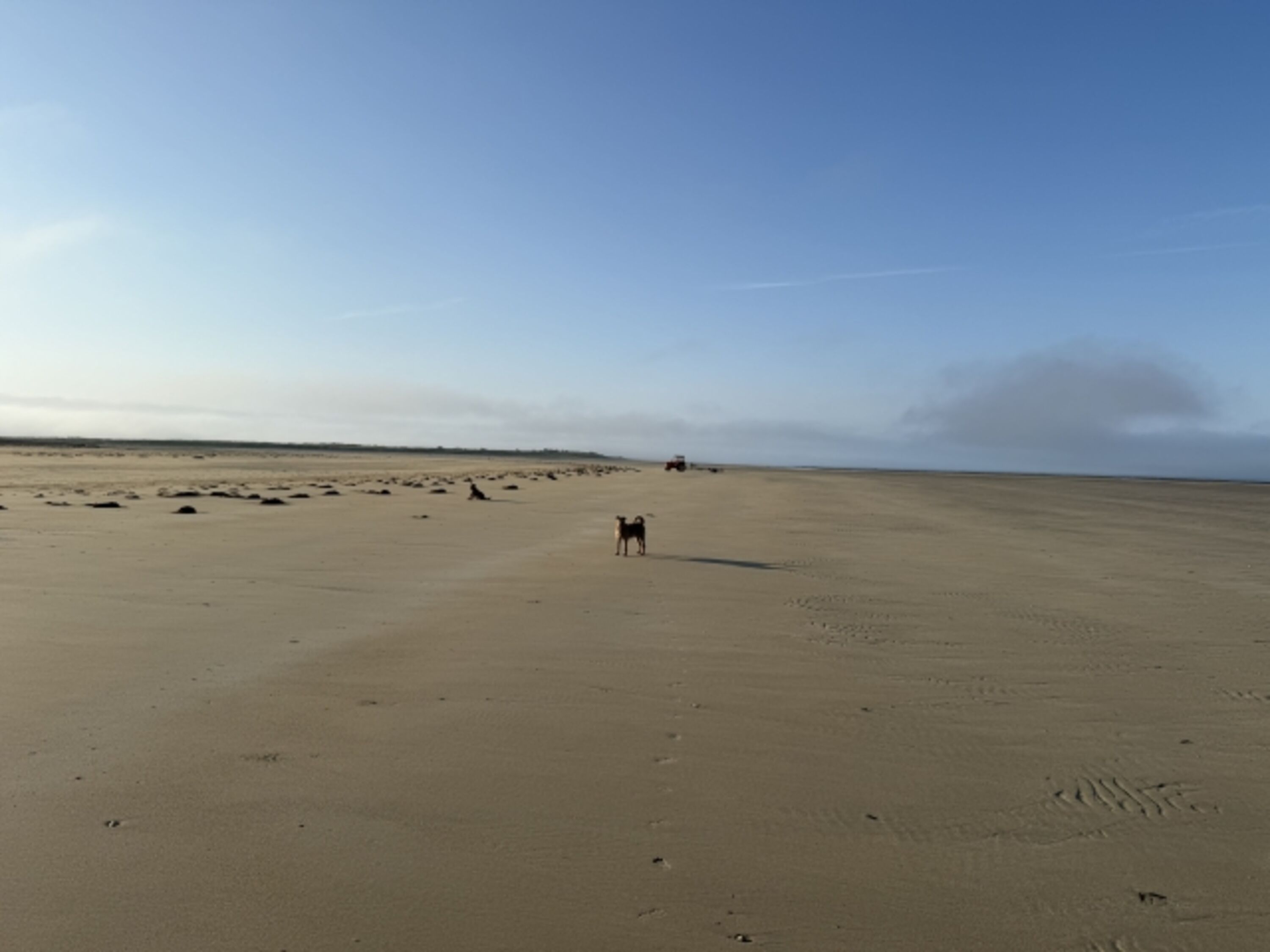 Strand bei Ebbe