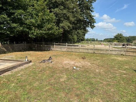 Viel Spaß zum Toben 