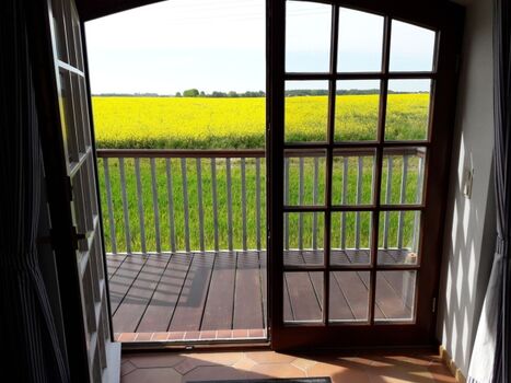 Blick aus dem Eingangsbereich auf die Felder