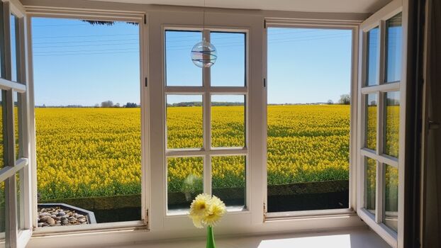 Blick aus dem Wohnzimmerfenster