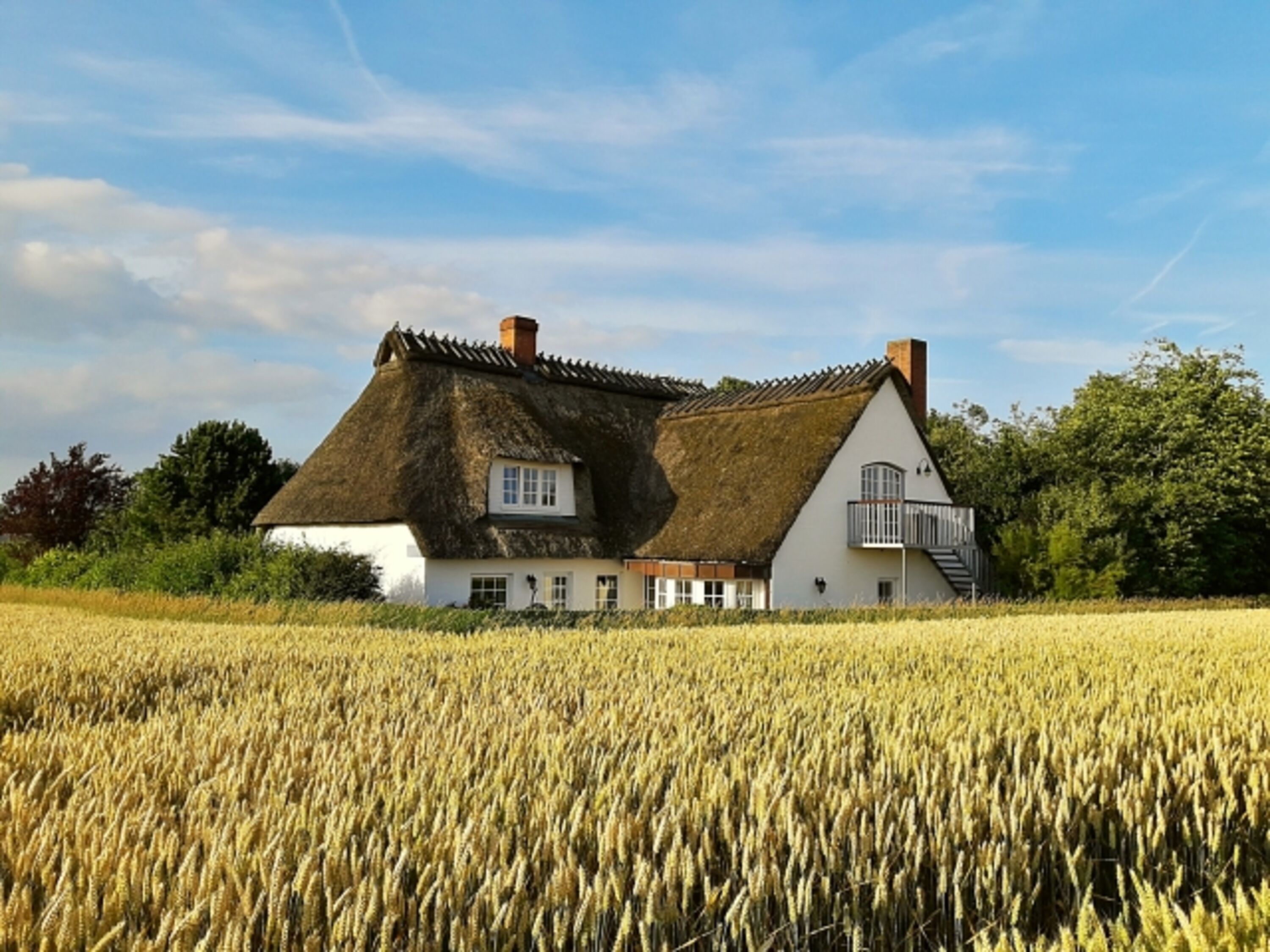 Blick vom Feld auf die Ferienwohnung