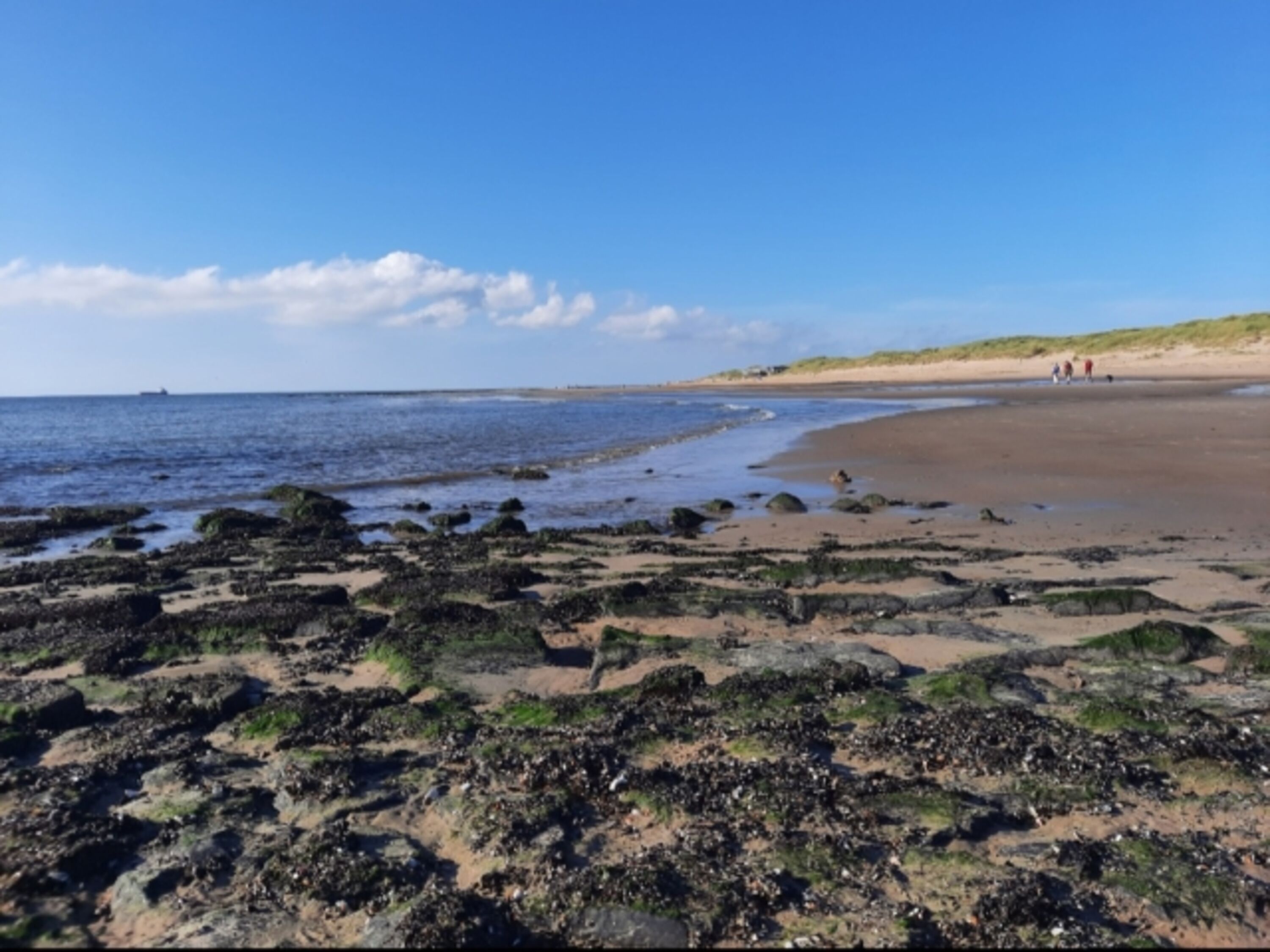 Nordsee-Strand in ca. 12 Kilometer Entfernung