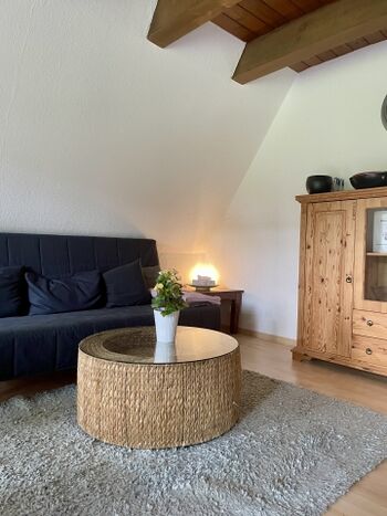 Schlafsofa im Wohnzimmer