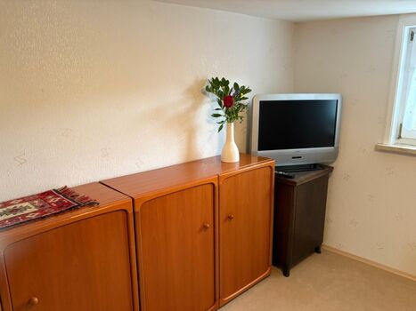 2. Wohnzimmer mit Sofa und TV