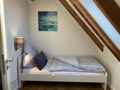 besser Träumen im Einzelbett mit Blick in den Sternenhimmel