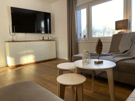 großer Flachbildschirm