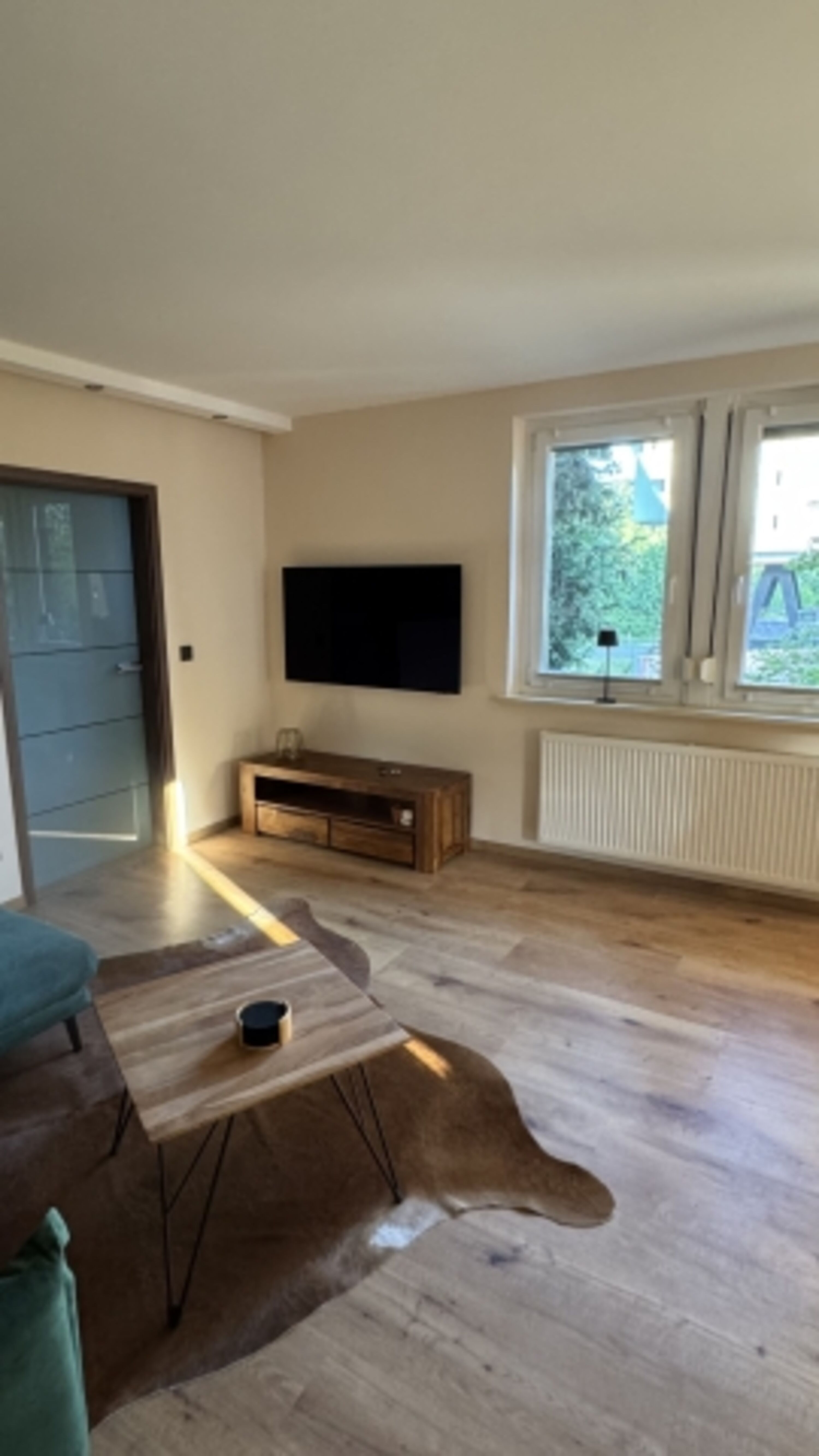 TV Wohnzimmer