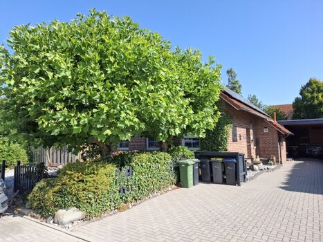 Ferienhaus Leo Vorderbereich