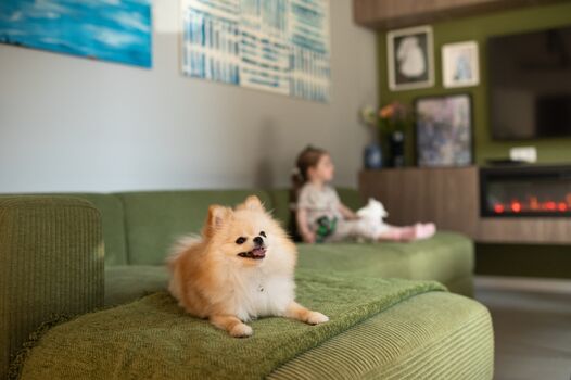 Familienfreundlicher Wohnbereich mit großzügiger grüner Cord-Couch, 55'' Smart-TV und elektrischem Kamin – ideal für gemütliche Abende mit Kindern und Gästen auf vier Pfoten.