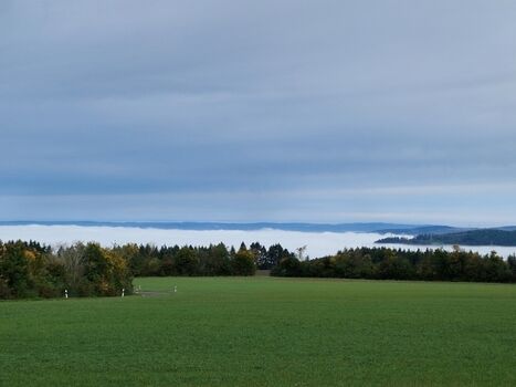 Herbststimmung im Moseltal