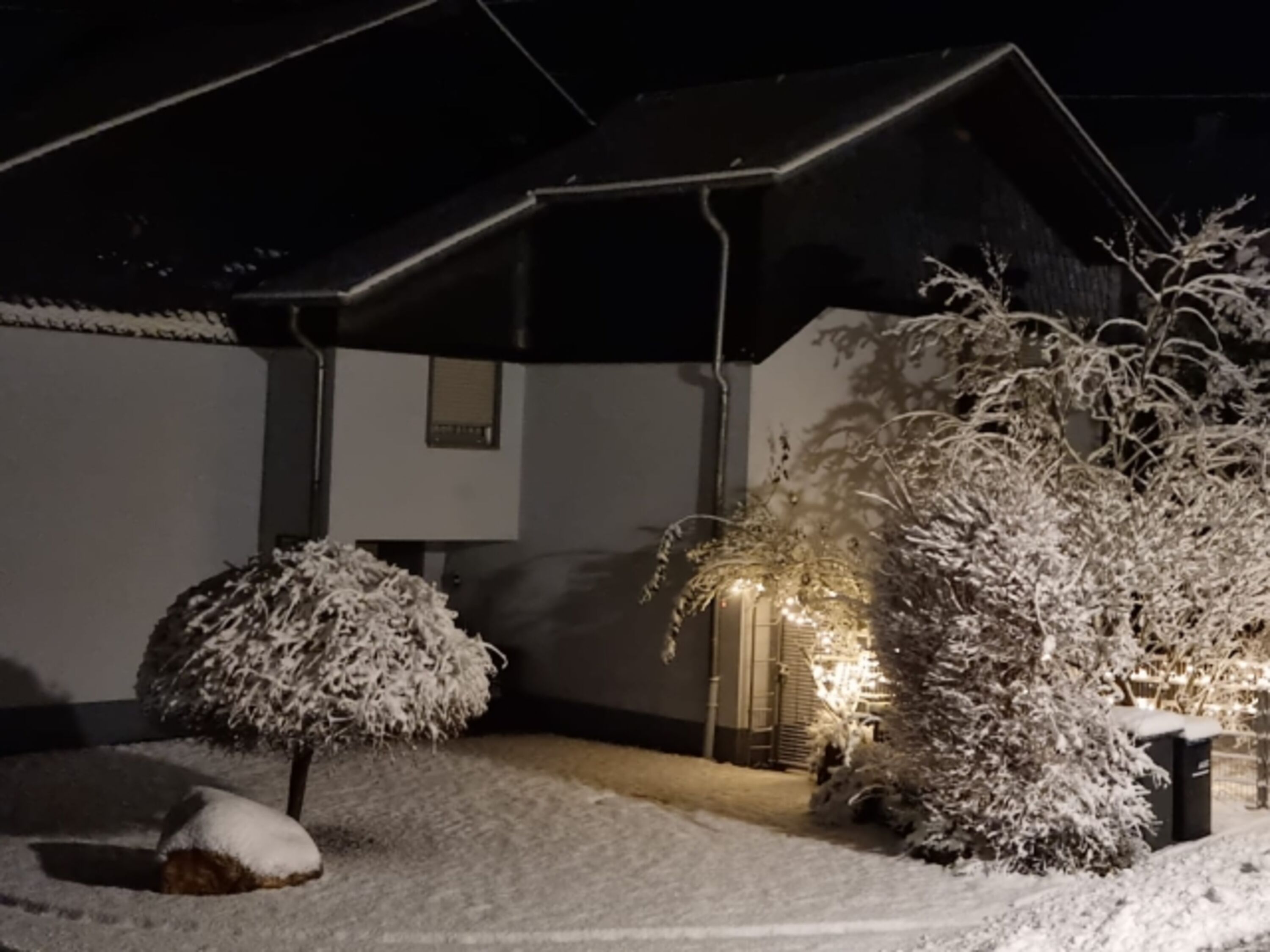Winterimpression
