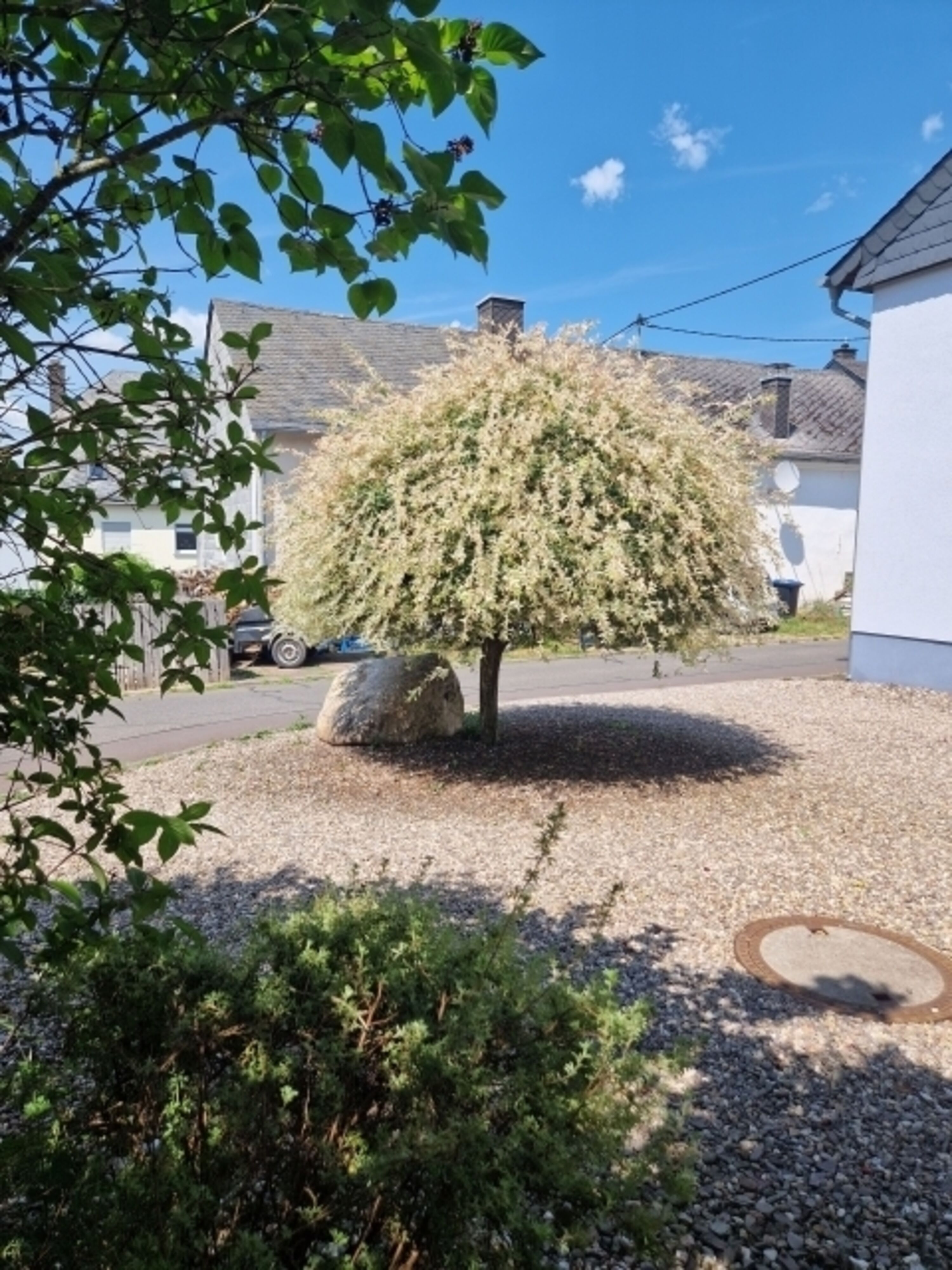 Hof mit Parkplatz