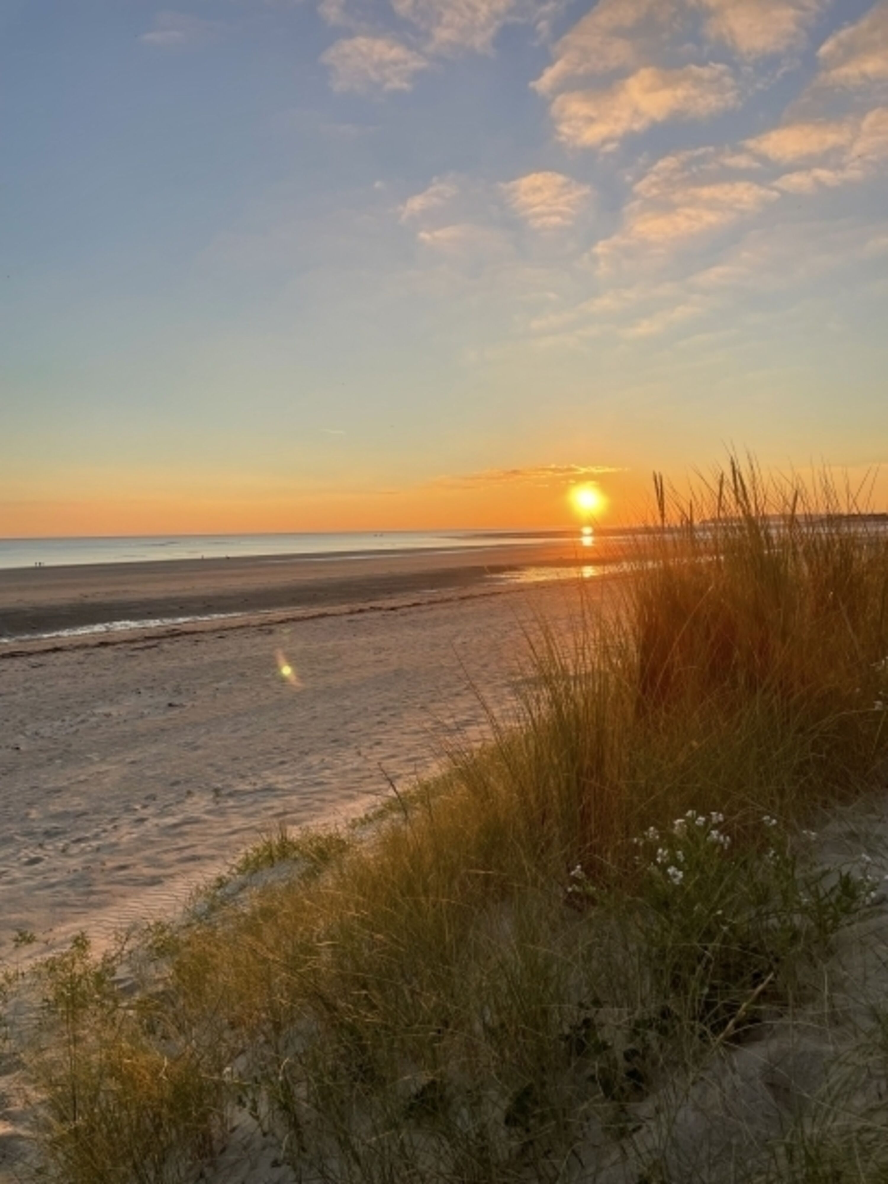 Dünen und Strand