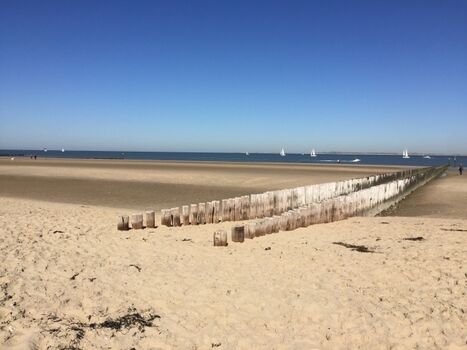 Nordsee-Luft schnuppern 