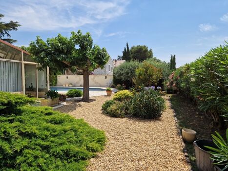 Garten mit vielen mediterranen Pflanzen