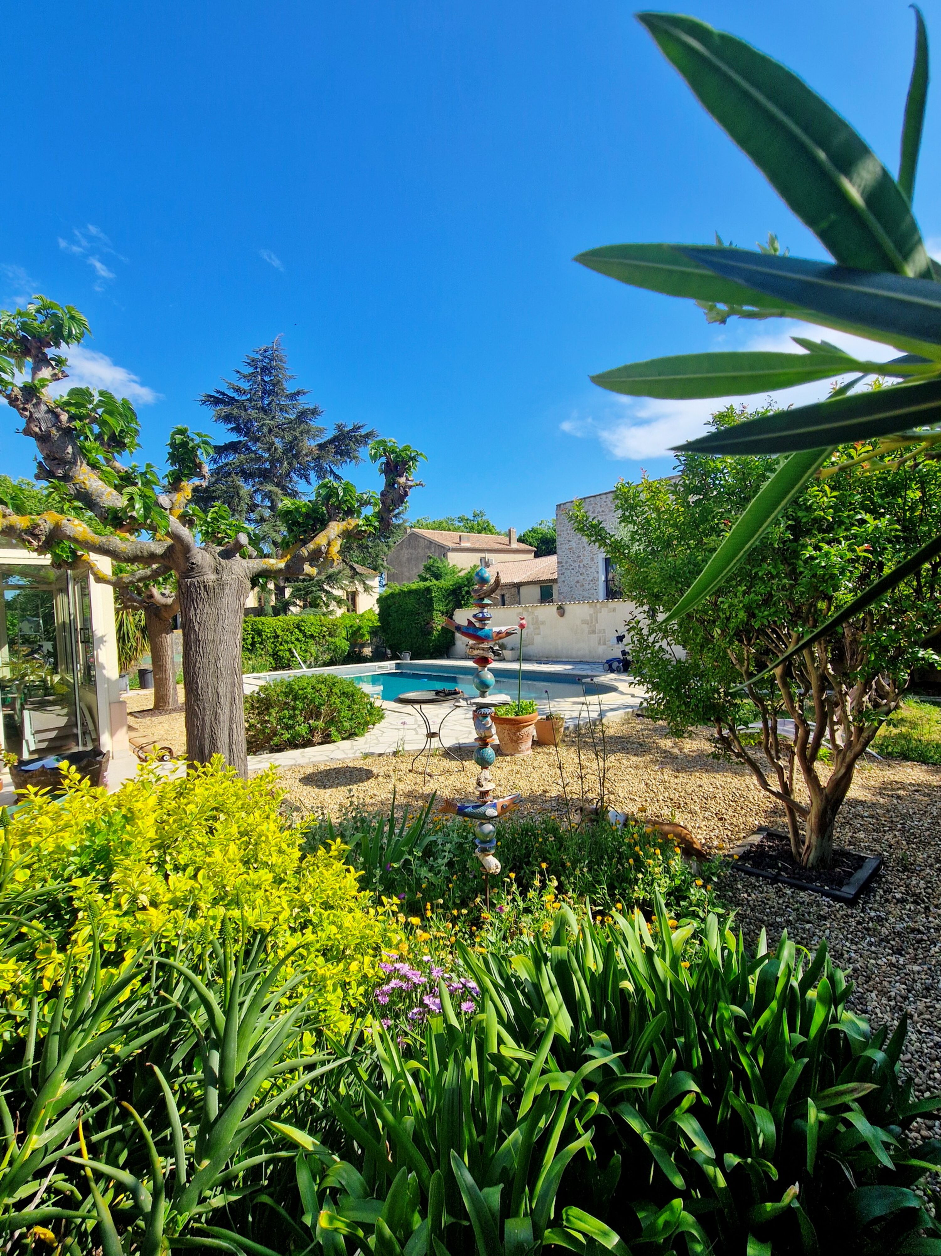 Gartenbereich mit Pool