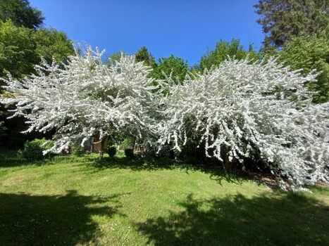 Gästebereich Garten