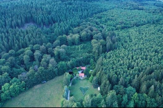 Traumlage mitten im Wald