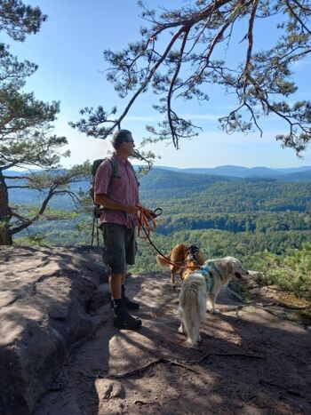 Wanderung Traumschleife