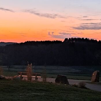 Sonnenaufgang im Ort direkt am Wald  