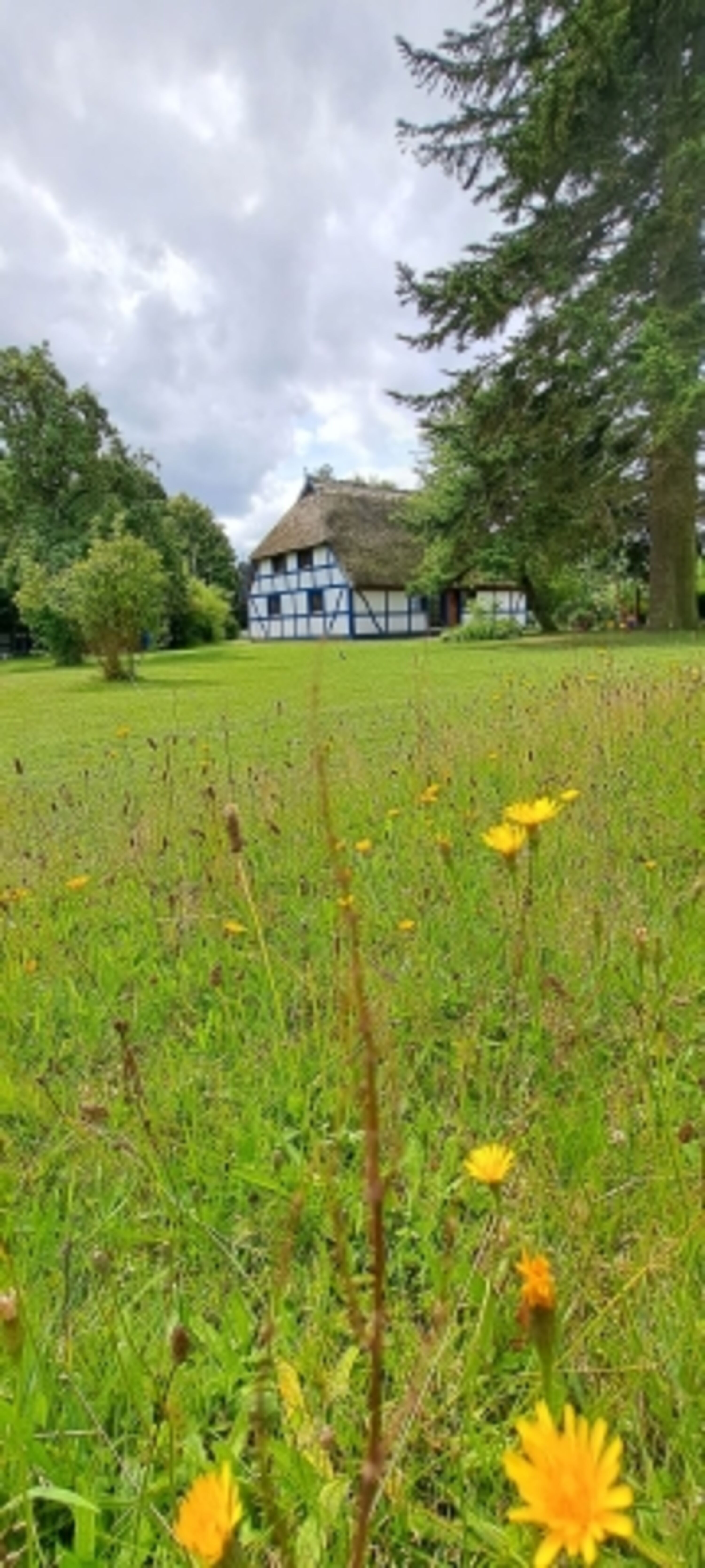 Bild 9