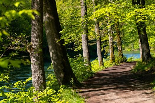 Rund um den See und in ganz Möhnesee gibt es diverse Spazier- und Wanderwege